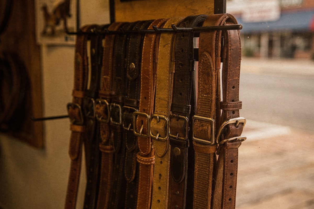 Leashes and collars hanging in a row on a display rack